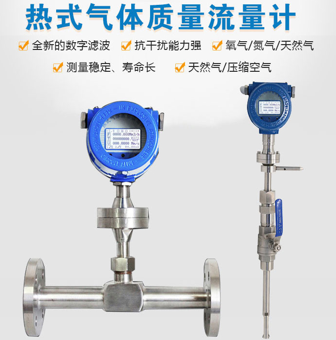 熱式氣體質量流量計產(chǎn)品圖