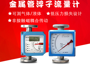 液氨金屬浮子流量計